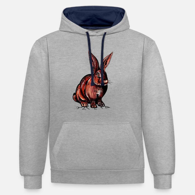 Lapin - Sweat à capuche contrasté - gris chiné/bleu marine