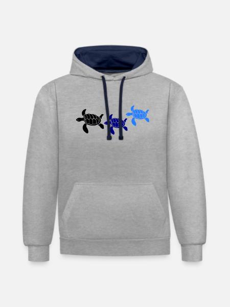 tortoises - Contrast hoodie - heather grey/navy