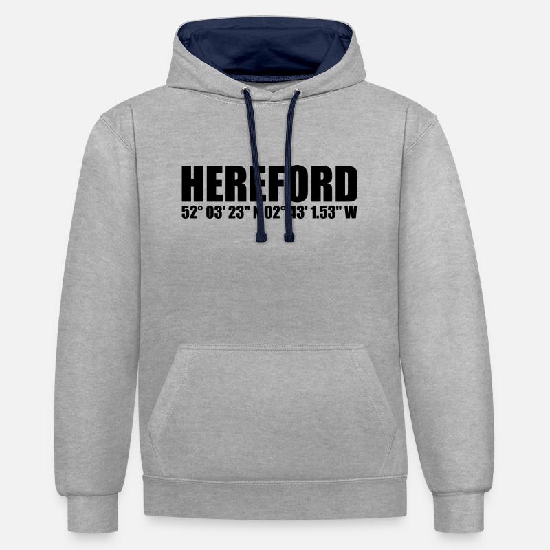 Coordonnées Hereford - Sweat à capuche contrasté - gris chiné/bleu marine