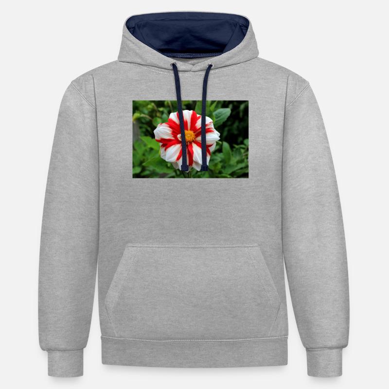 Dahlia blanc rouge fleur, fleur - Sweat à capuche contrasté - gris chiné/bleu marine