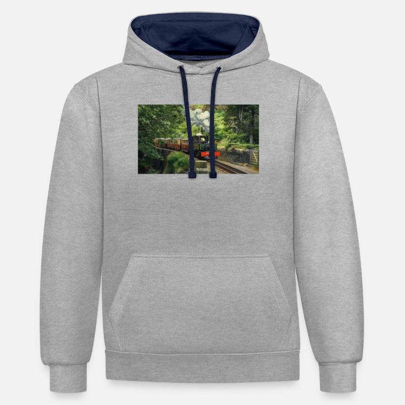 Ffestiniog Idyll - Sweat à capuche contrasté - gris chiné/bleu marine