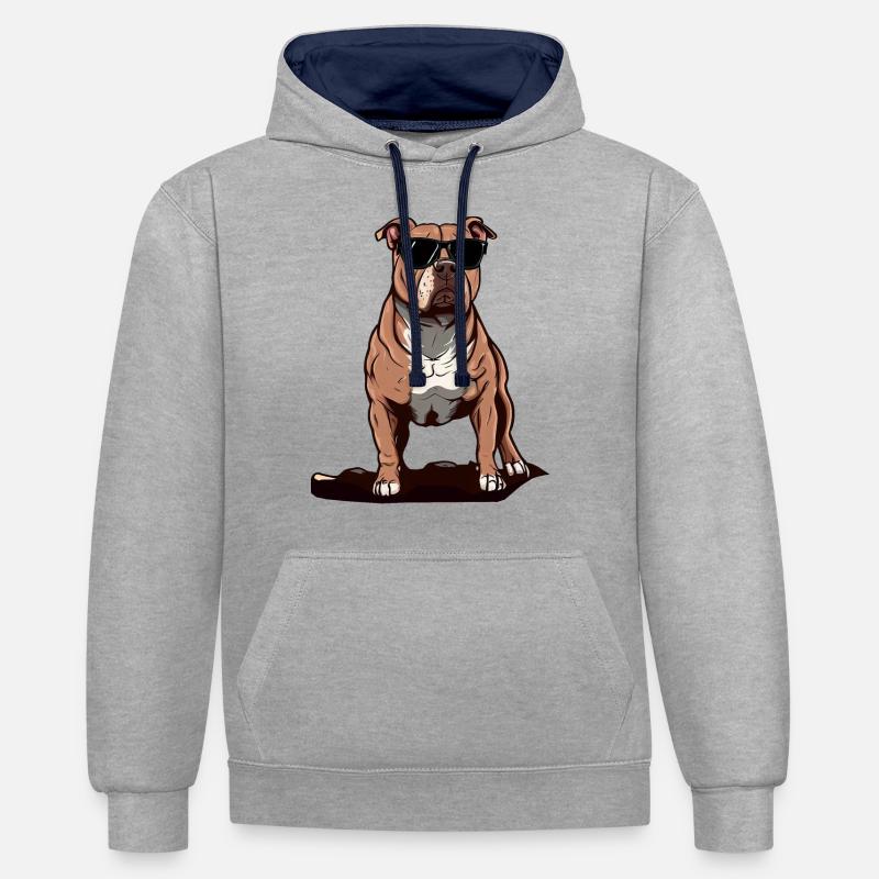 Pitbull Le modèle - Sweat à capuche contrasté - gris chiné/bleu marine