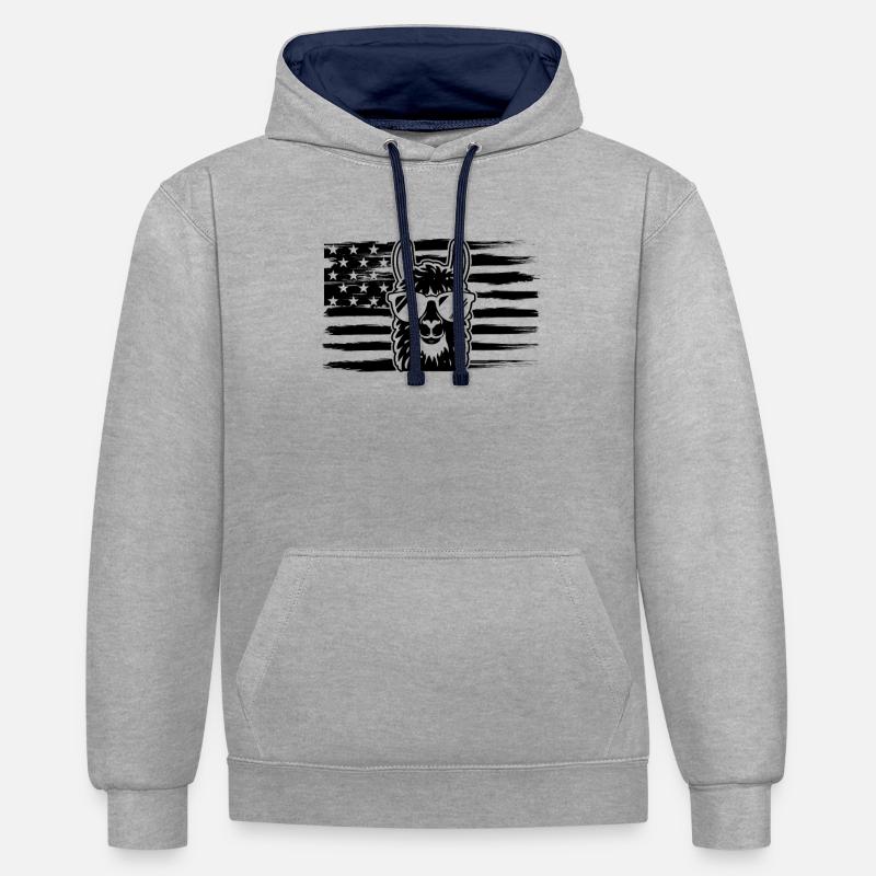 Lama Drapeau US Lama - Sweat à capuche contrasté - gris chiné/bleu marine