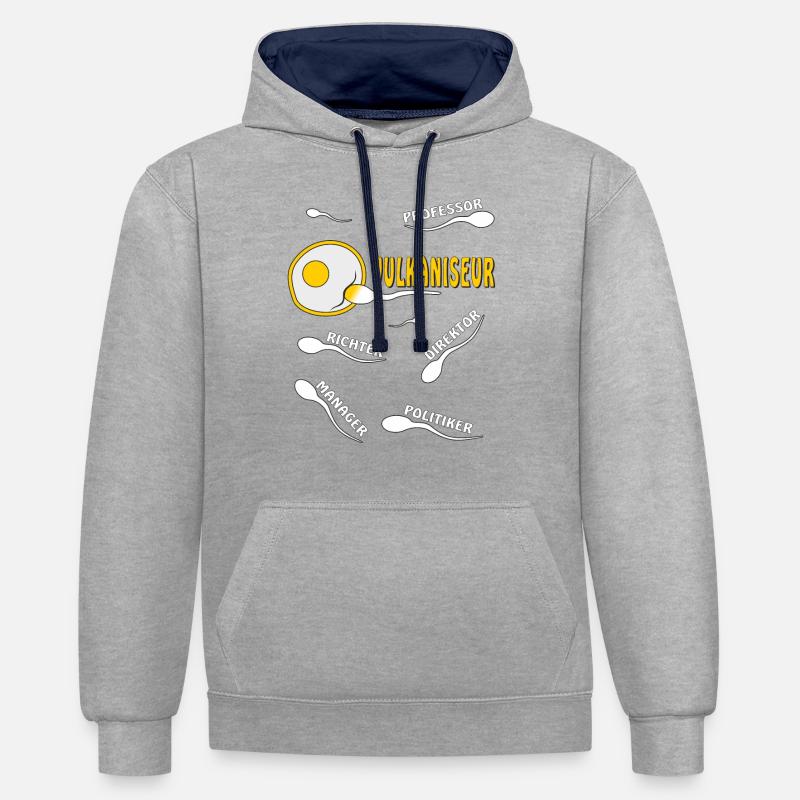 VULCANIZER - Sweat à capuche contrasté - gris chiné/bleu marine