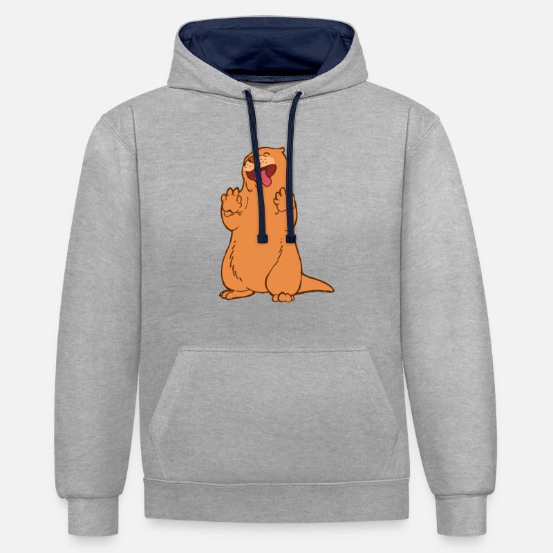 La loutre qui danse - Sweat à capuche contrasté - gris chiné/bleu marine