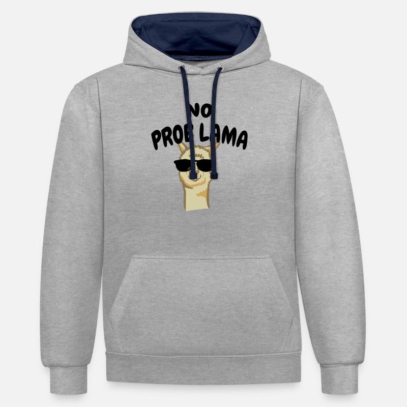 Pas de Problama - Sweat à capuche contrasté - gris chiné/bleu marine