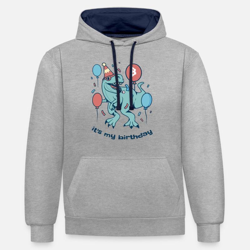 C’est mon anniversaire Dino - Sweat à capuche contrasté - gris chiné/bleu marine