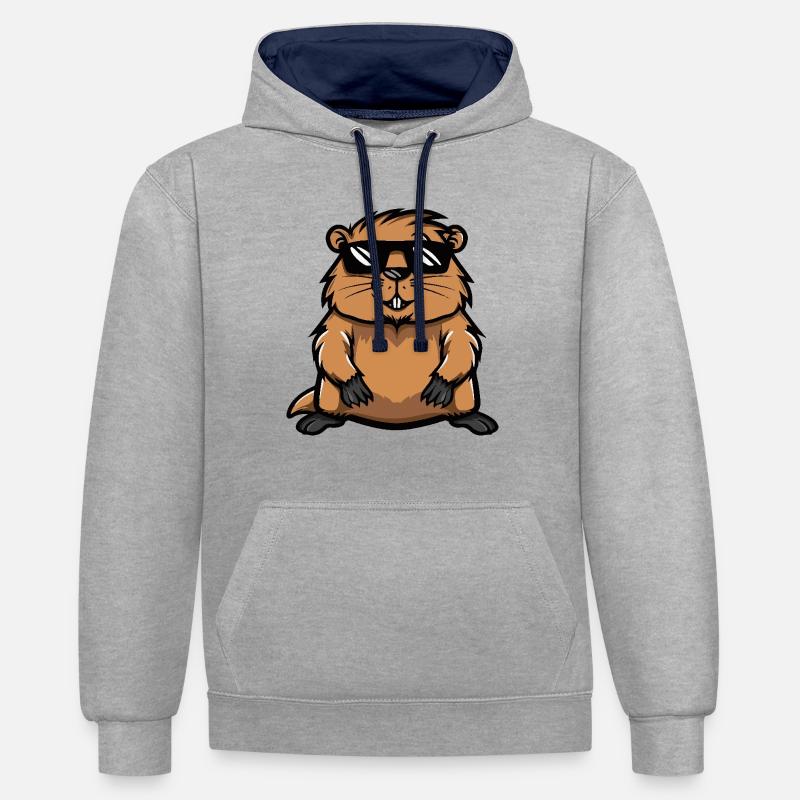 Beaver Cool BD - Sweat à capuche contrasté - gris chiné/bleu marine