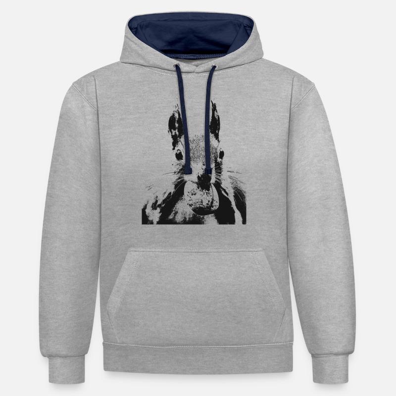 Écureuil - Sweat à capuche contrasté - gris chiné/bleu marine