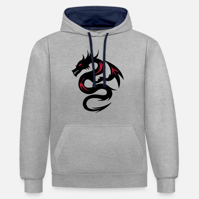 dragon2 - Sweat à capuche contrasté - gris chiné/bleu marine