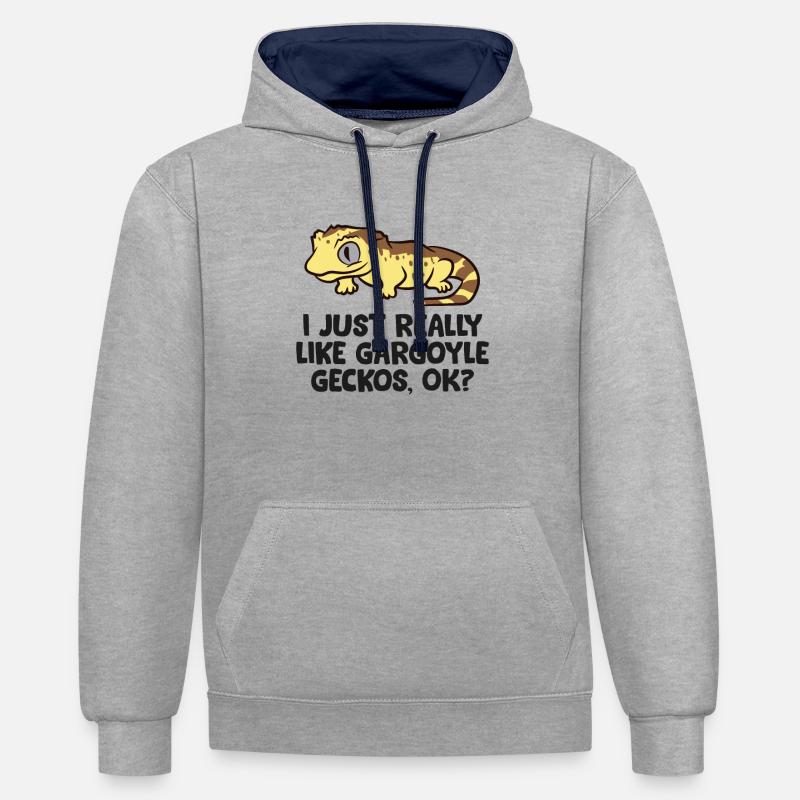 Gargoyle Gecko Lover J’aime vraiment - Sweat à capuche contrasté - gris chiné/bleu marine