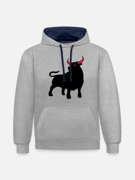 stier_02 - Contrast hoodie - heather grey/navy
