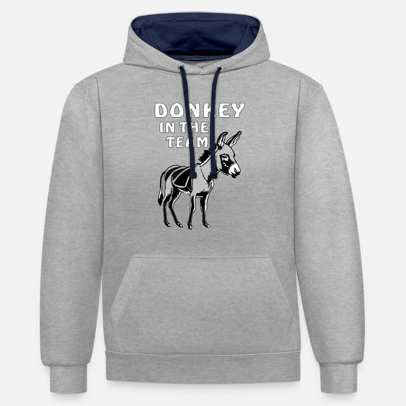 ESEL ÂNE DANS L’ÉQUIPE - Sweat à capuche contrasté - gris chiné/bleu marine