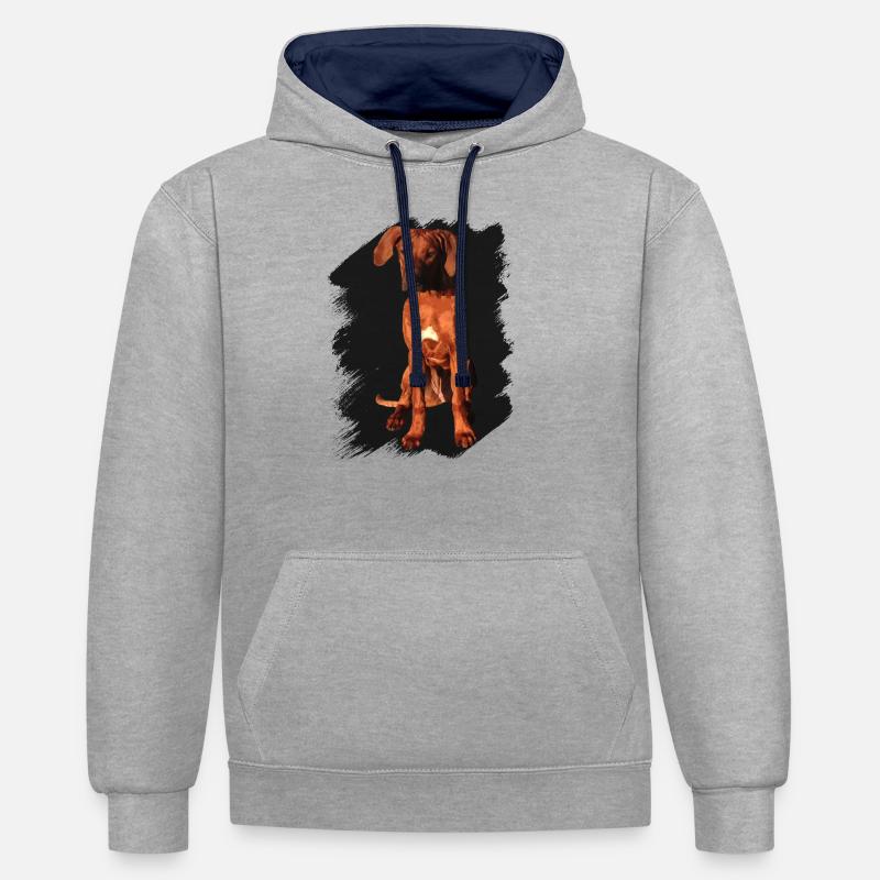 Rhodesian Ridgeback sur fond noir - Sweat à capuche contrasté - gris chiné/bleu marine