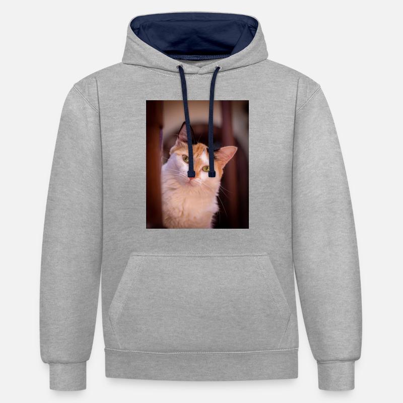 le chat au doux regard - Sweat à capuche contrasté - gris chiné/bleu marine