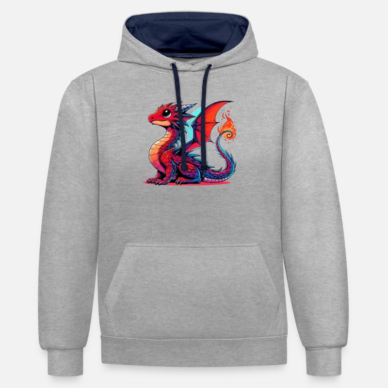 Dragon - Sweat à capuche contrasté - gris chiné/bleu marine