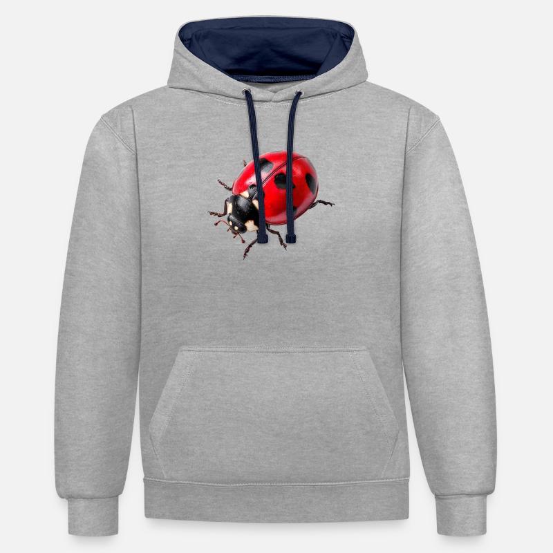 Les coccinelles sont aussi appelées coccinelles - Sweat à capuche contrasté - gris chiné/bleu marine