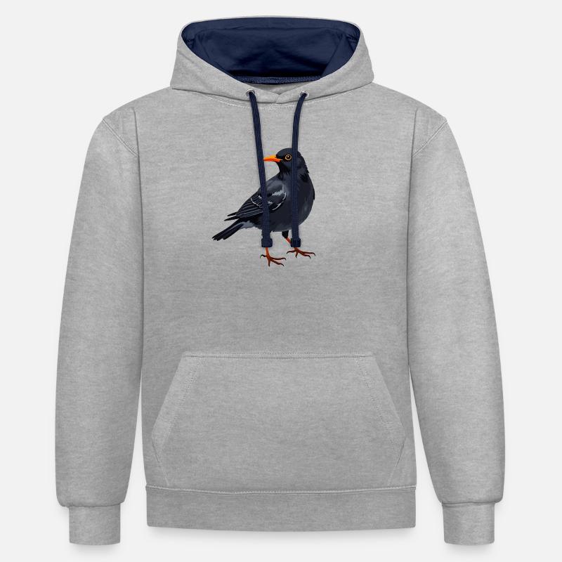 Merle - Sweat à capuche contrasté - gris chiné/bleu marine