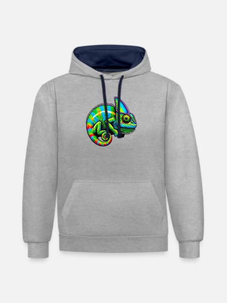 chameleon - Contrast hoodie - heather grey/navy