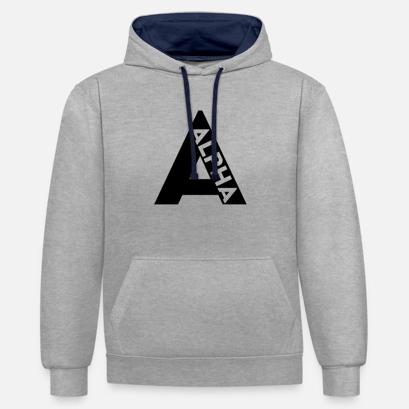 A l'OTAN - Sweat à capuche contrasté - gris chiné/bleu marine