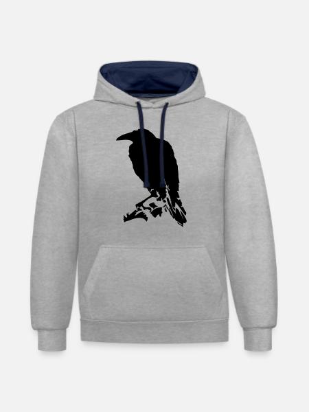 Raven / Raven (1c) - Contrast hoodie - heather grey/navy
