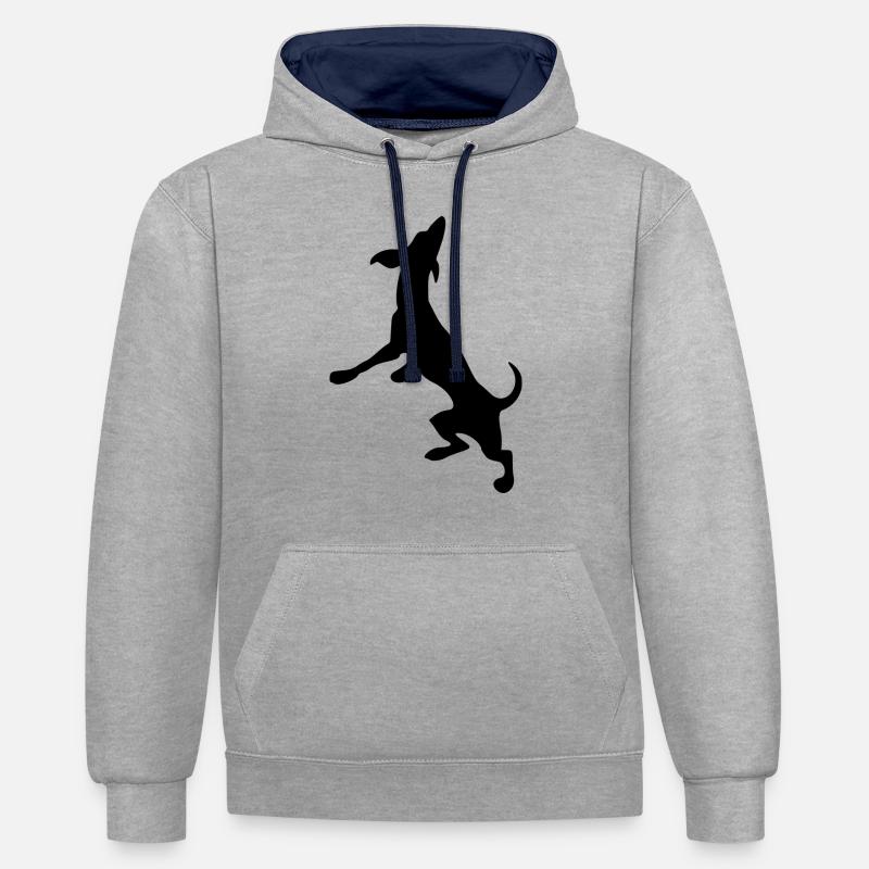dog82 - Sweat à capuche contrasté - gris chiné/bleu marine