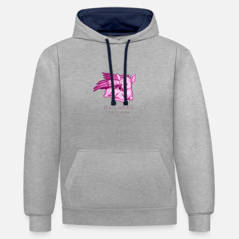 Ailé faon rose - Sweat à capuche contrasté - gris chiné/bleu marine