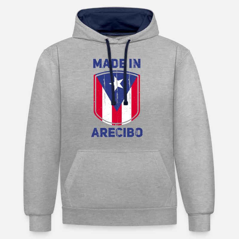 Arecibo - Sweat à capuche contrasté - gris chiné/bleu marine