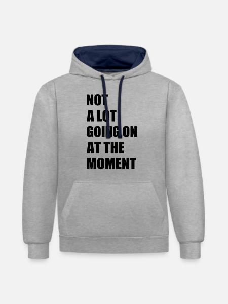 Not a lot going at the moment - Kontrast-hoodie - grå meleret/marineblå