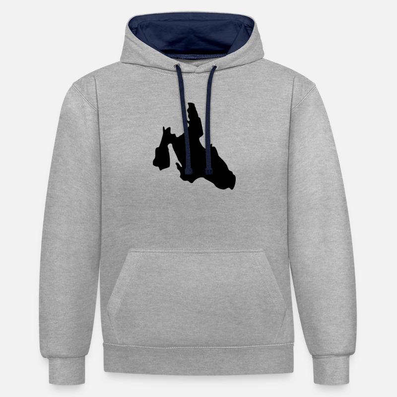 Céphalonie - Sweat à capuche contrasté - gris chiné/bleu marine