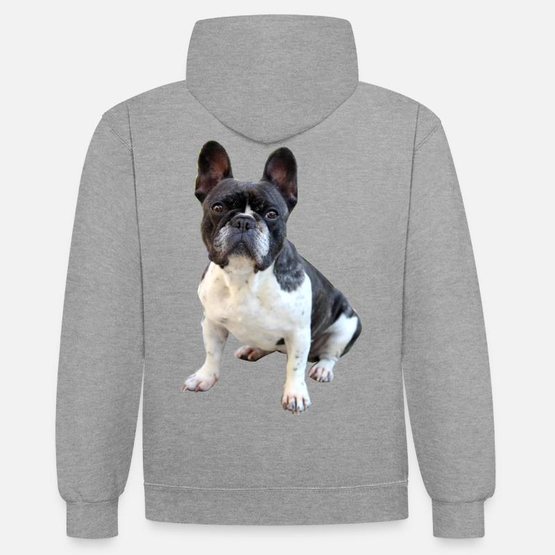 FRENCH BULLY Bouledogue français - Sweat à capuche contrasté - gris chiné/bleu marine