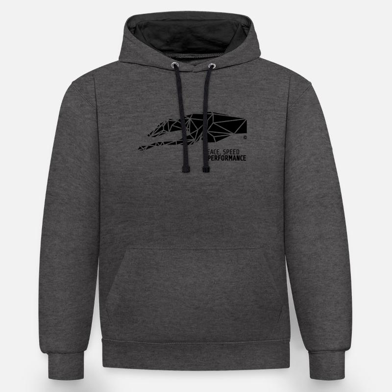 05SIGHTHND EMBL fil 4v - Sweat à capuche contrasté - anthracite/noir
