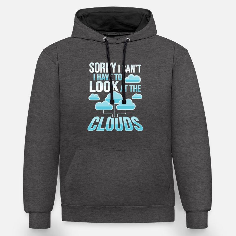 Administrateur Cloud Devops - Sweat à capuche contrasté - anthracite/noir