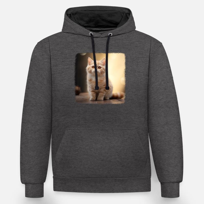 Chaton Munchkin Chat Munchkin - Sweat à capuche contrasté - anthracite/noir