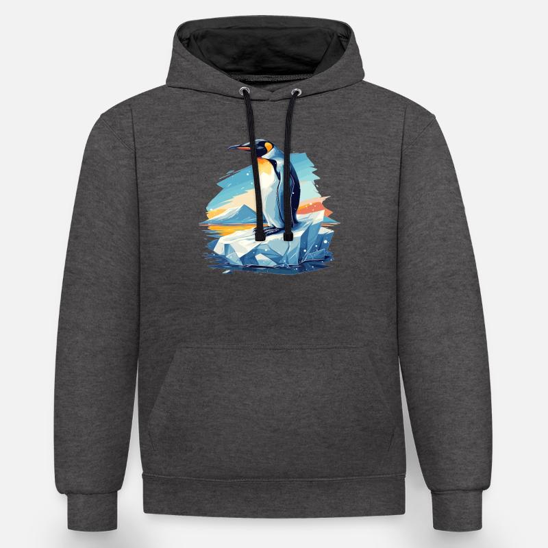 Pingouins Pingouin - Sweat à capuche contrasté - anthracite/noir