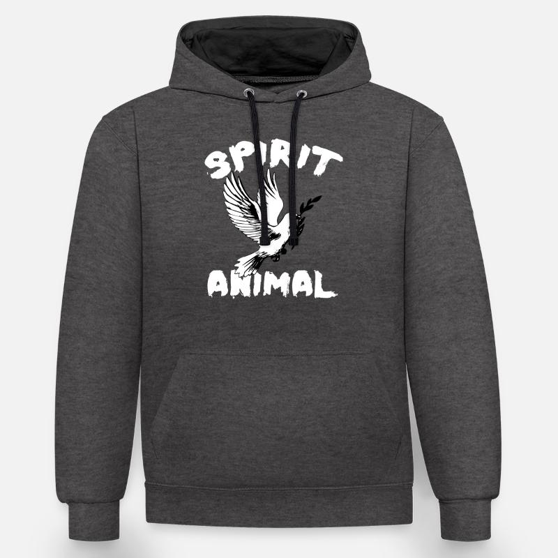 DOVE - Sweat à capuche contrasté - anthracite/noir