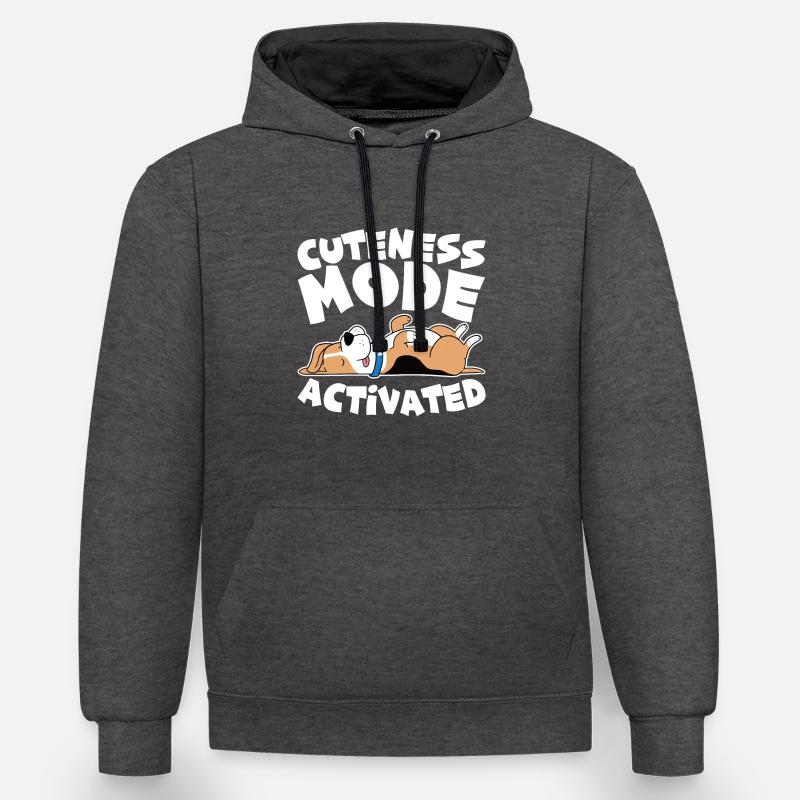 Mode mignon activé 4 - Sweat à capuche contrasté - anthracite/noir