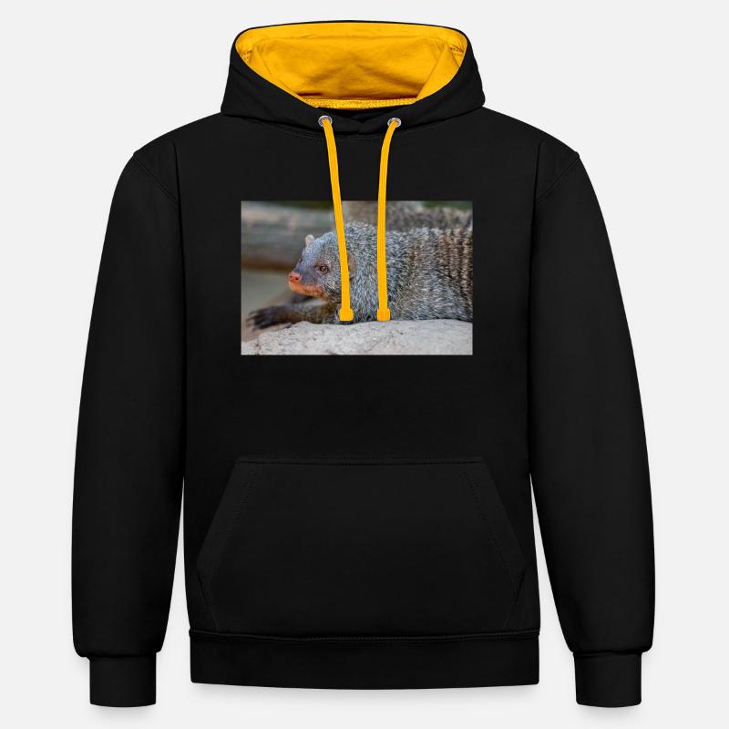 Gebänderte Manguste oder Zebramanguste Zebramanguste - Kontrast-Hoodie - Schwarz/Gold