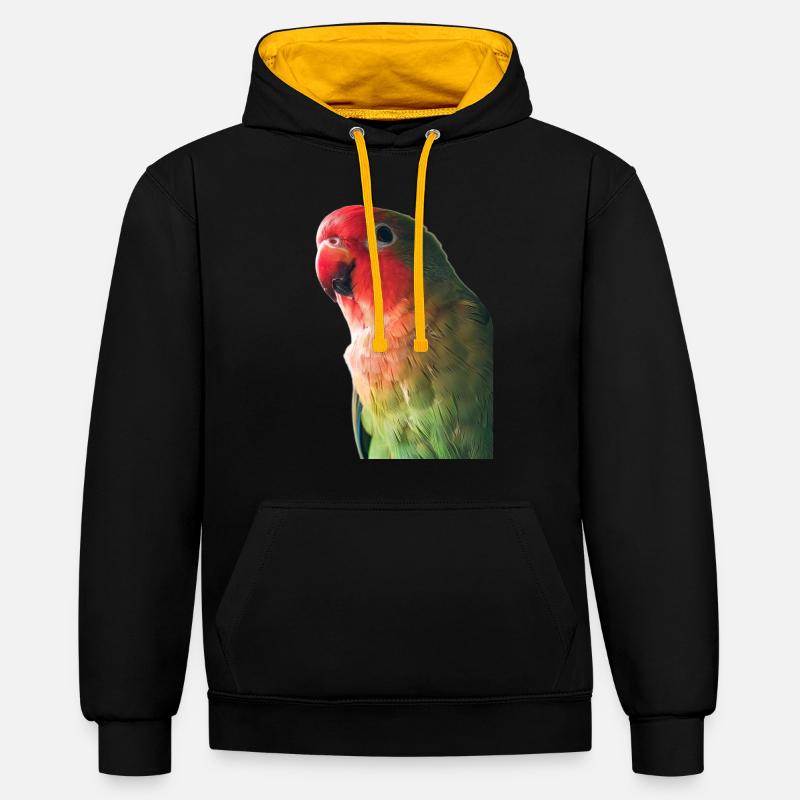 Inséparable - Sweat à capuche contrasté - noir/or