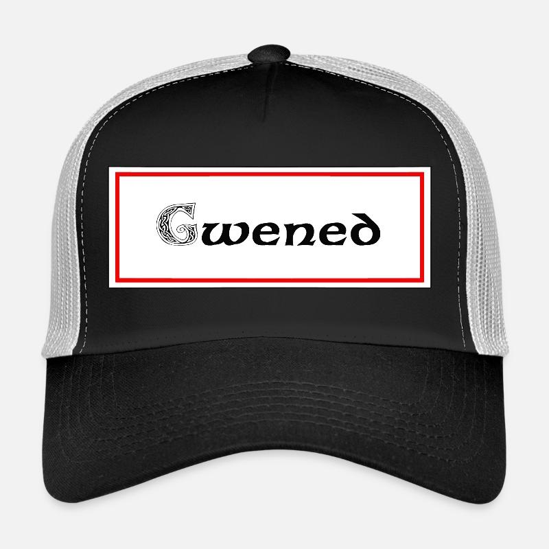 gwened Vannes - Trucker Cap - black/stone grey