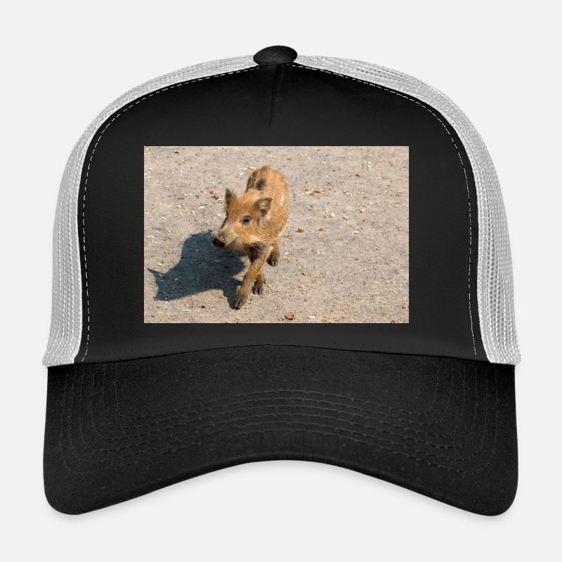 Frischling Wildschwein (Sus scrofa) im Wald - Trucker Cap - Schwarz/Steingrau