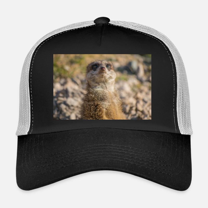 Erdmännchen (Suricata suricatta) meerkat - Trucker Cap - Schwarz/Steingrau