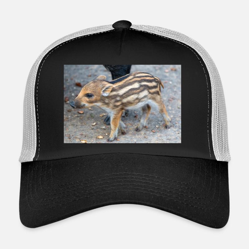Frischling Wildschwein (Sus scrofa) im Wald - Trucker Cap - Schwarz/Steingrau