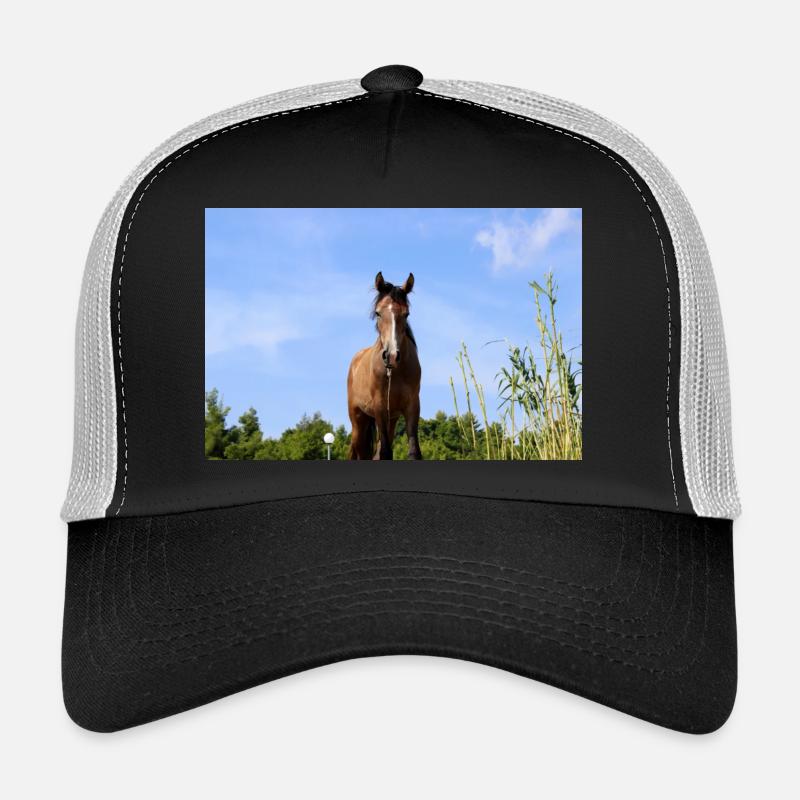 Affiche Cheval Cheval - Casquette trucker  - noir/gris pierre