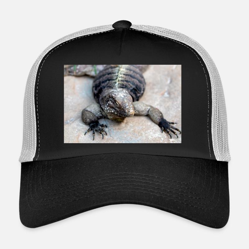 iguane de roche d’uban également iguane terrestre de Cuba Casquette trucker 