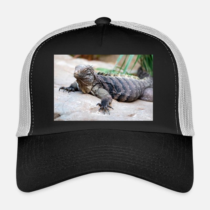 Iguane de roche de Cuba aussi iguane terrestre de Cuba Casquette trucker 