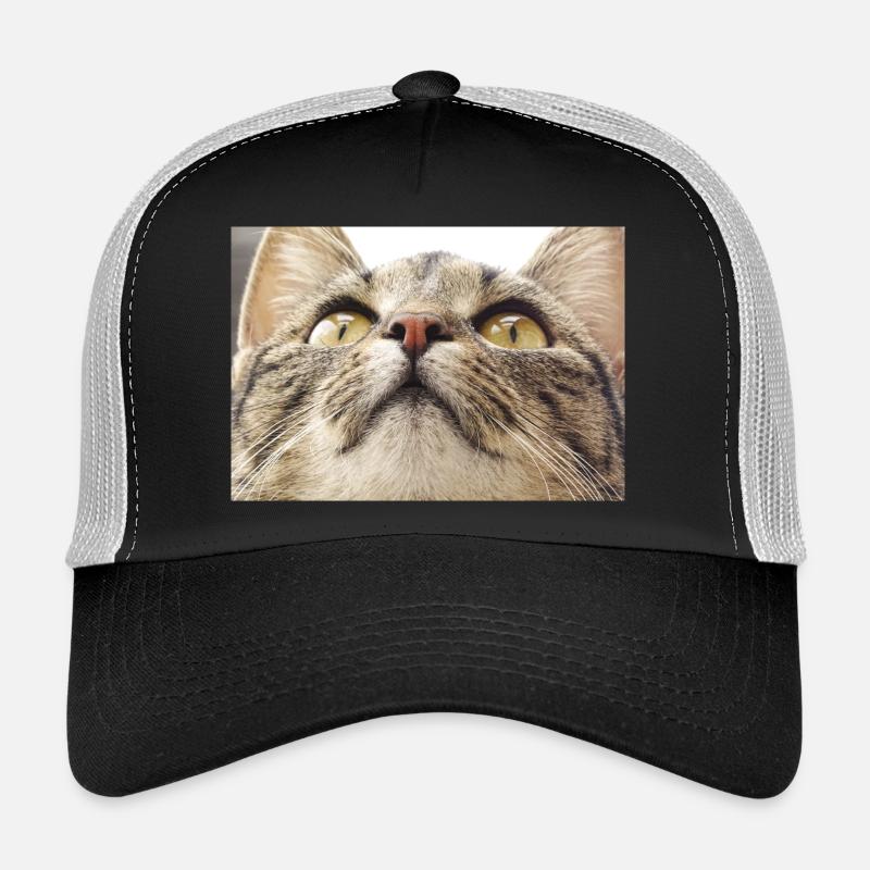 Visage de chat Minka - Casquette trucker  - noir/gris pierre