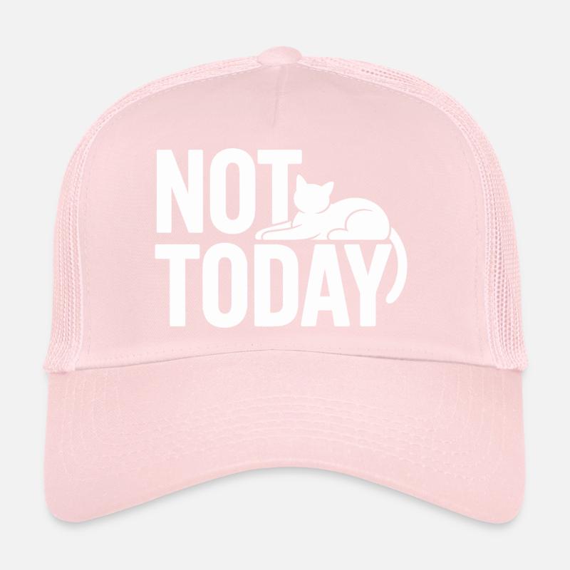 Cat Saying Not Today Office Cat Home Office Cat Trucker Cap