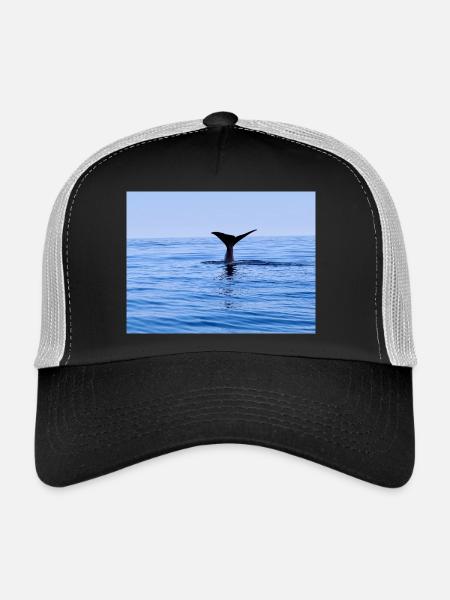 Wal - Trucker Cap - Schwarz/Steingrau