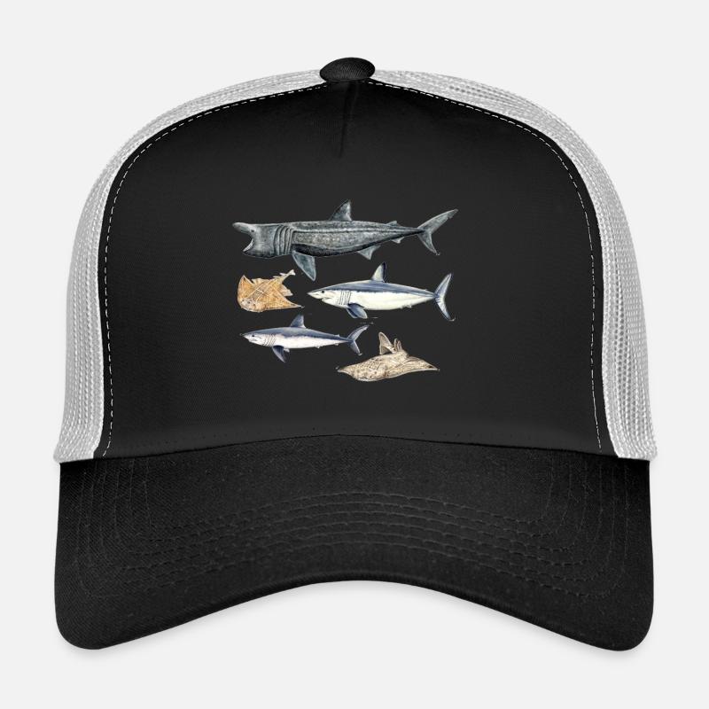 Requins - Requins - Requins - Casquette trucker  - noir/gris pierre